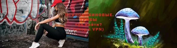 дживик Вяземский